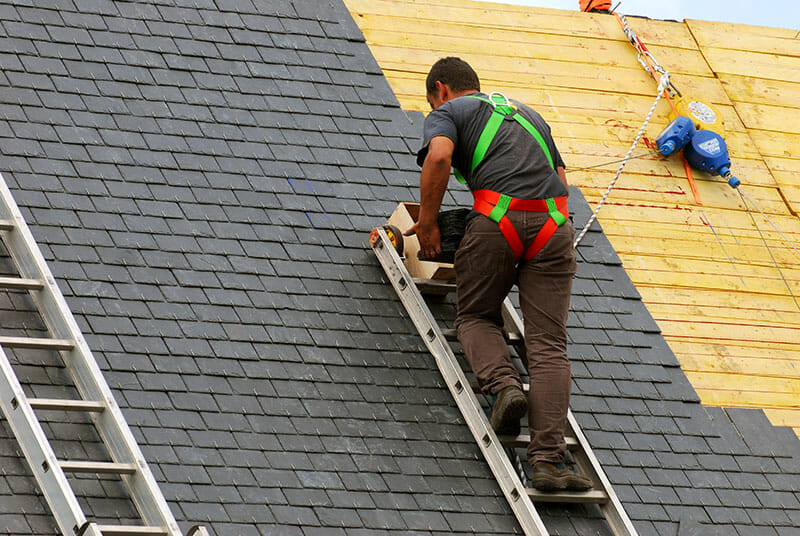 DIY vs. Professional Roof Repair: Which Makes More Sense?