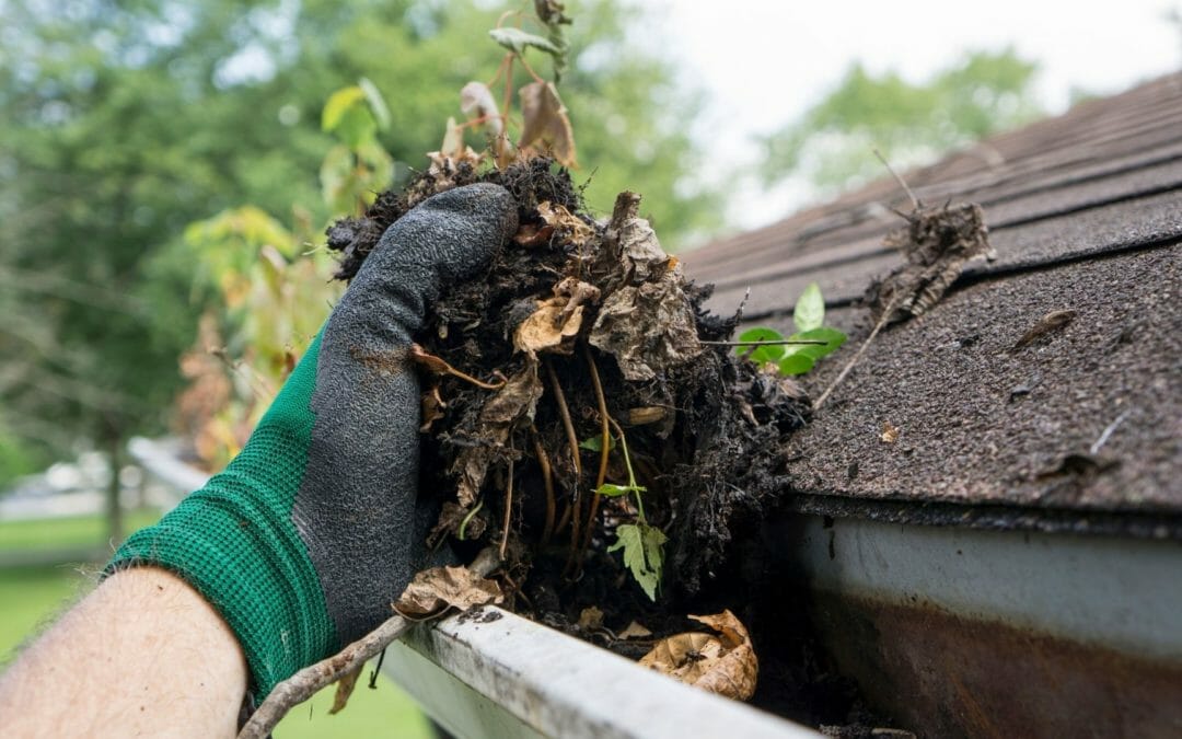 Why An Effective Gutter System Is Important For Your Sarasota Home